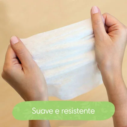 Lenços Umedecidos Pampers Aloe Vera Leve 4 Pague 3 Com 48 Unidades