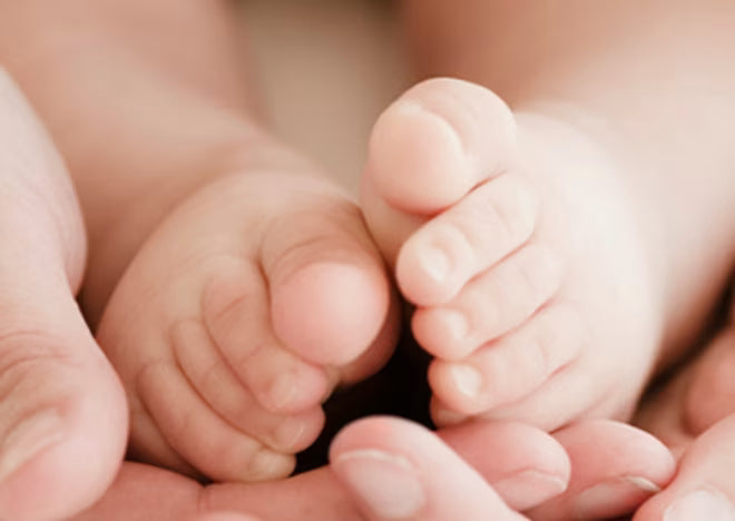 Lenços Umedecidos Com Cheirinho De Aloe Vera